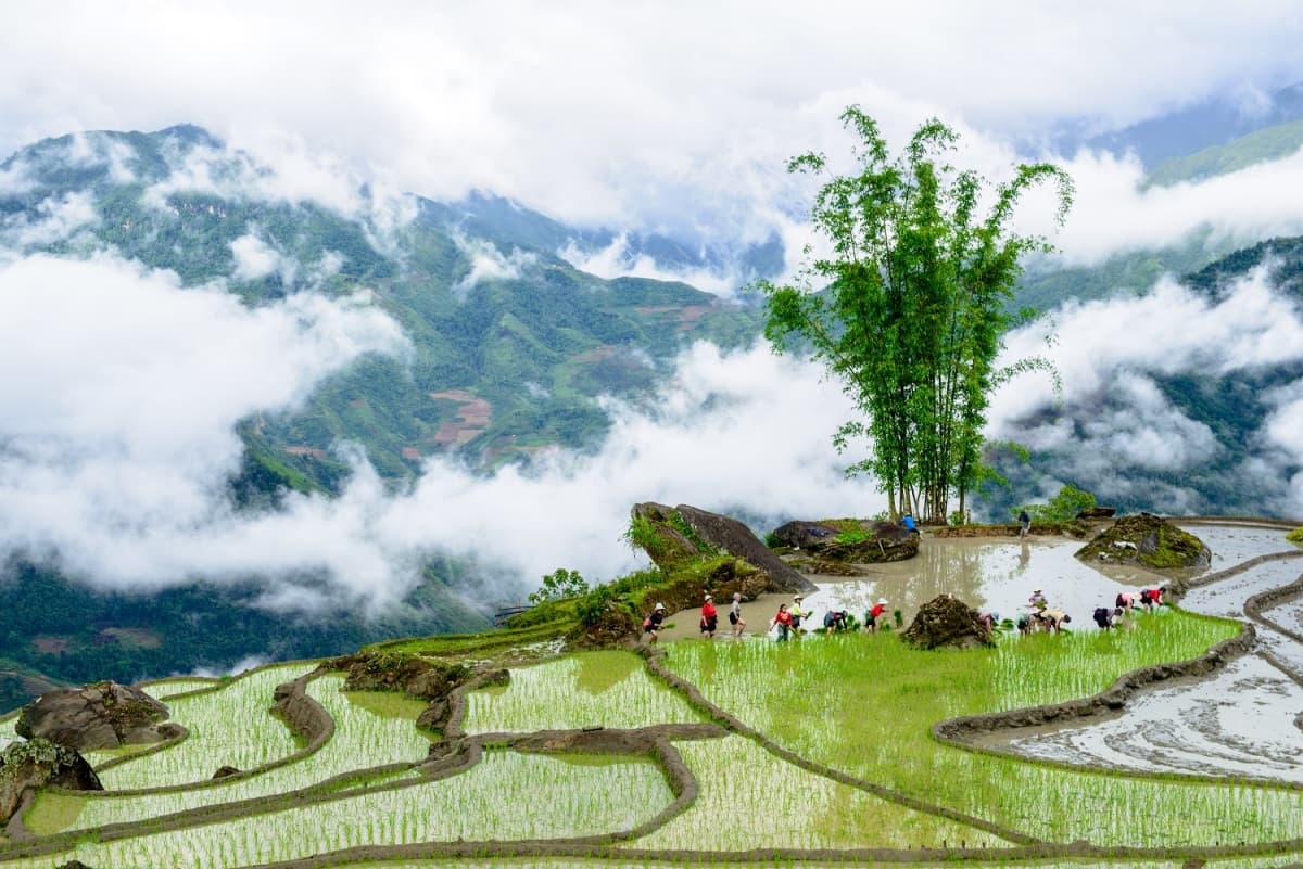 Y-Ty-Lao-Cai-Viet-Nam