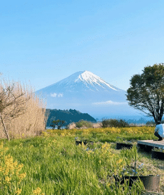 富士山经典一日游 | 体验云端之上的绝美风 | 东京出发