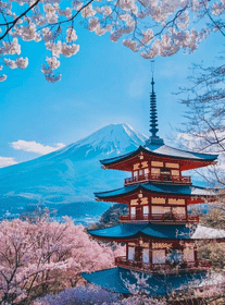 富士山经典一日游 | 体验云端之上的绝美风 | 东京出发
