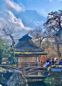 富士山经典一日游 | 体验云端之上的绝美风 | 东京出发