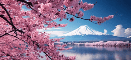 富士山经典一日游 | 体验云端之上的绝美风 | 东京出发
